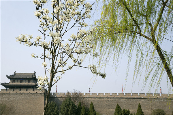 西安城墙春景